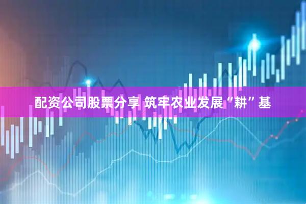 配资公司股票分享 筑牢农业发展“耕”基